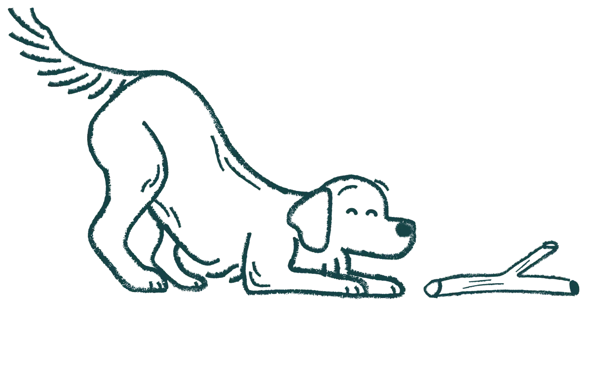 A dog laying in front of a wooden stick