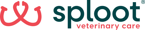 Sploot Veterinary Care logo with a red stylized paw print icon and the name in dark green and red text.