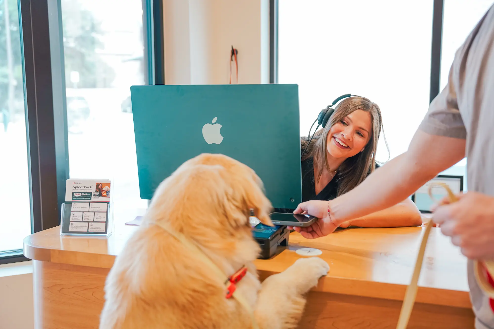 A golden retriever resting paws on the Sploot front-desk counter while the receptionist helps a client check out
