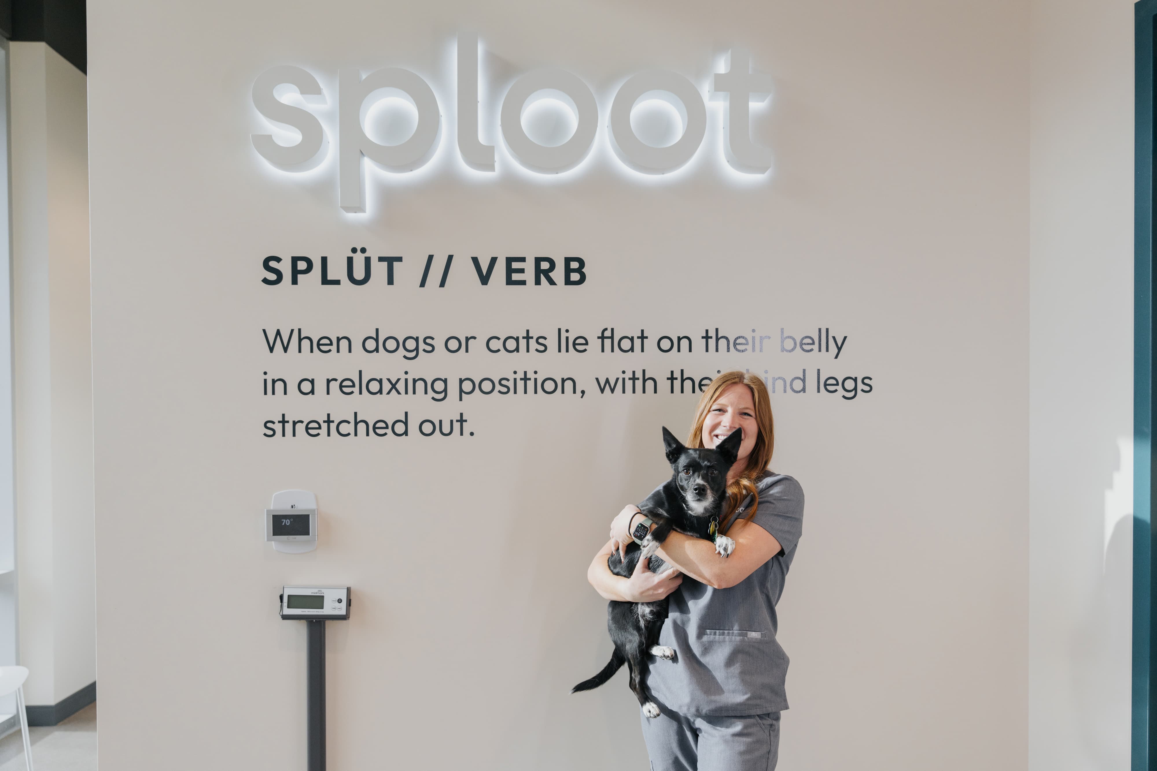 A Sploot veterinary team member smiling while holding a small black dog in the clinic