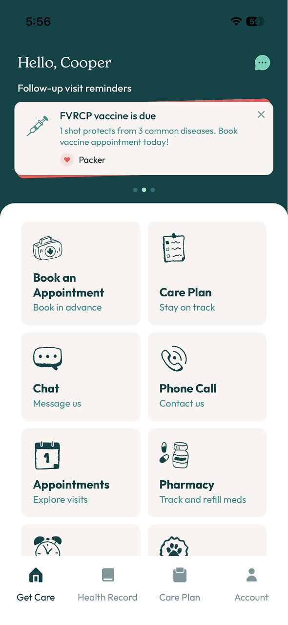 The Sploot app home screen — book appointments, chat, care plan, and pharmacy