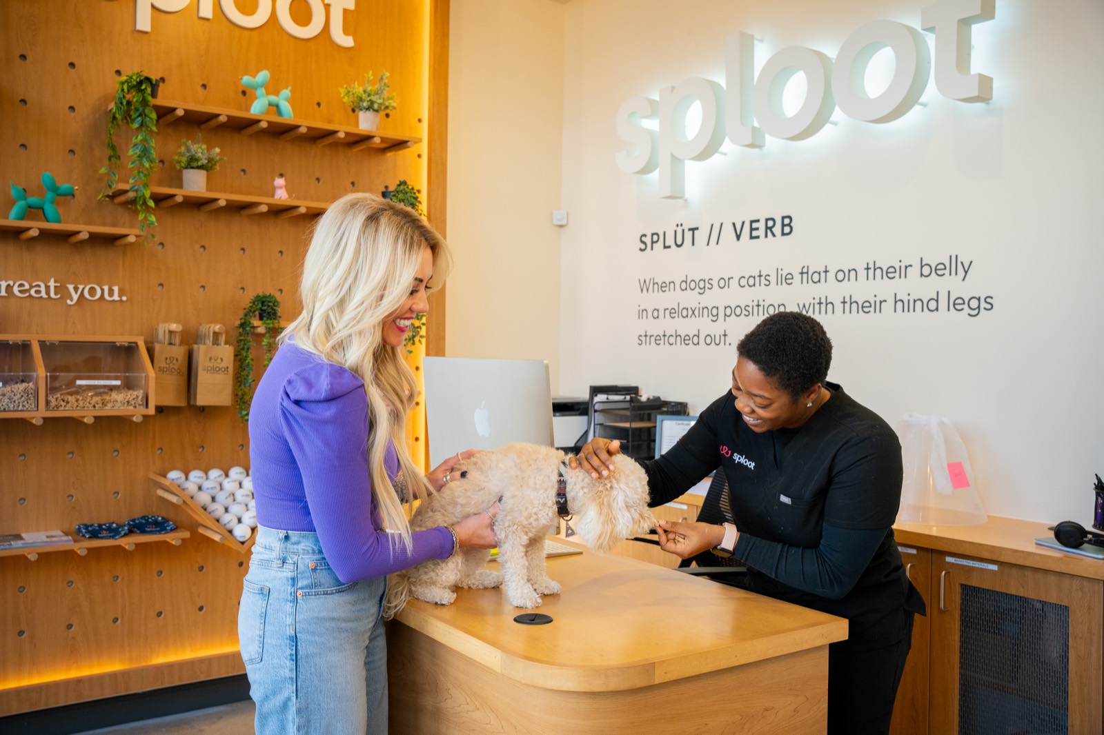 The welcoming front desk at a Sploot clinic