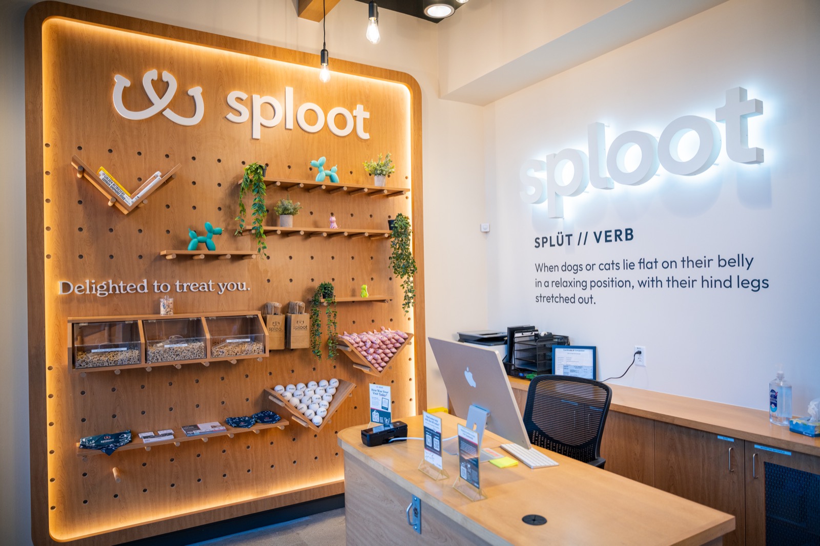 The branded front desk and treat wall inside a Sploot clinic
