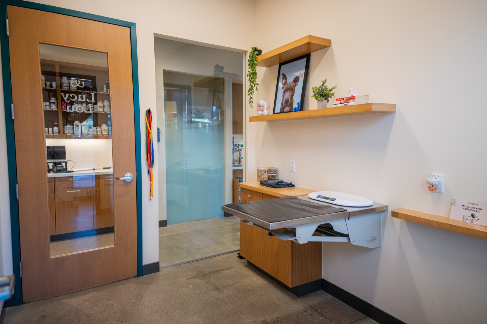 Clean, modern interior of a Sploot exam space