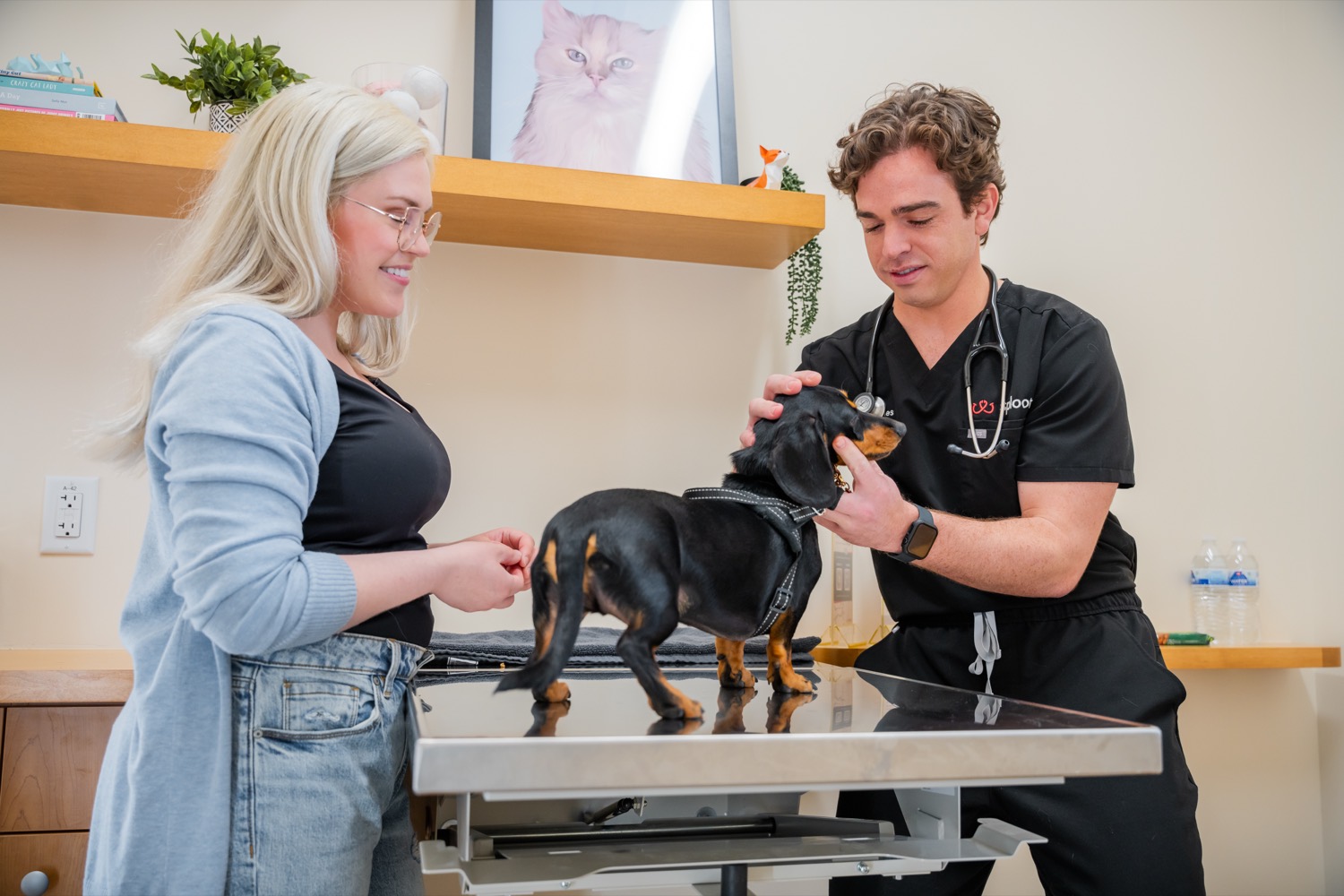 A Sploot veterinarian examining a dog on the exam table with its owner