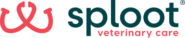 Sploot logo