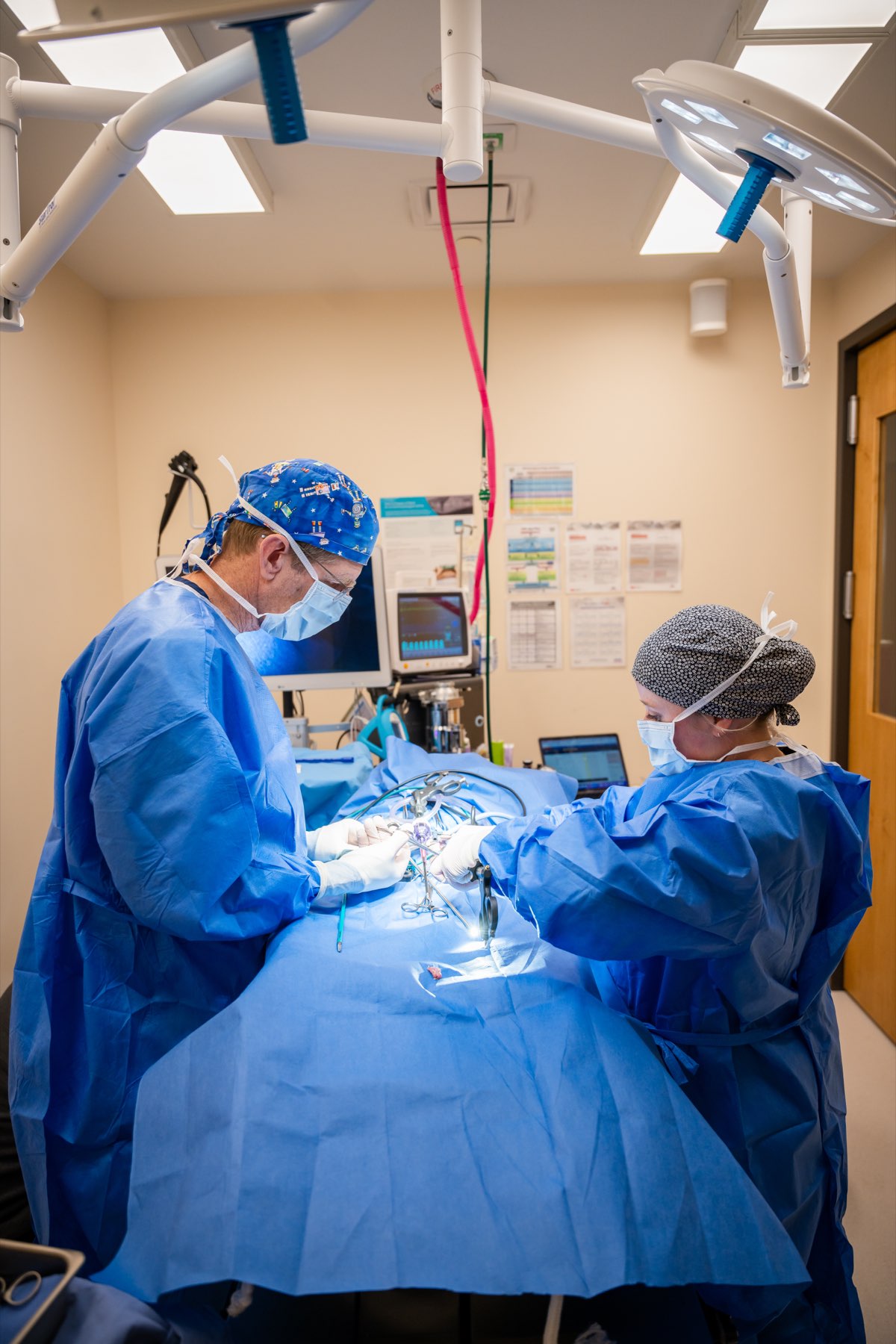 A Sploot surgical team performing a procedure in a sterile surgical suite with continuous monitoring